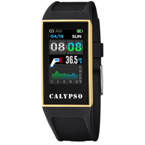 Calypso SmarTime K8502/4